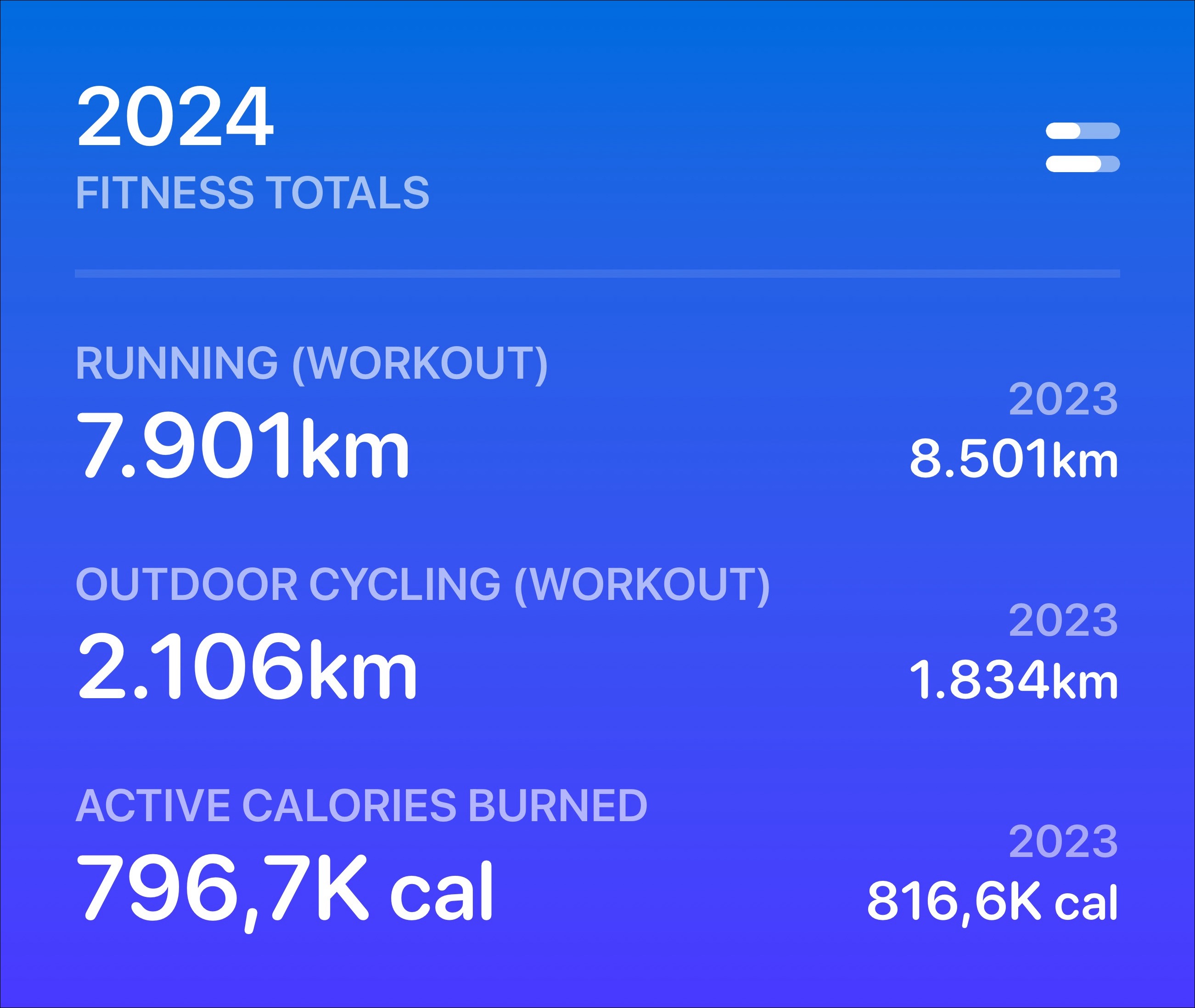 Fitness Totals Wrapped 2024