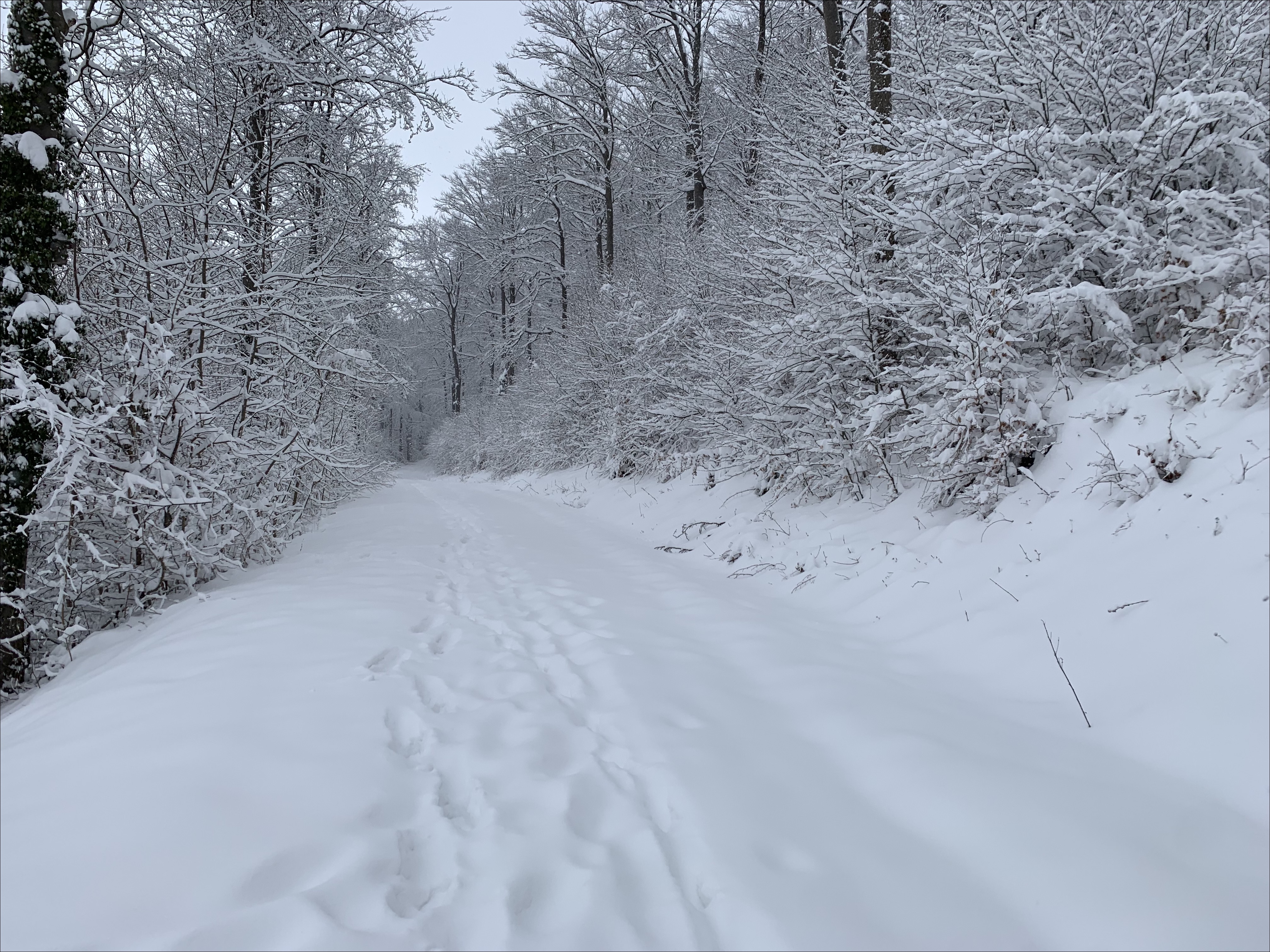 Tiefschnee (Blick auf einen Teil meiner Laufstrecke)