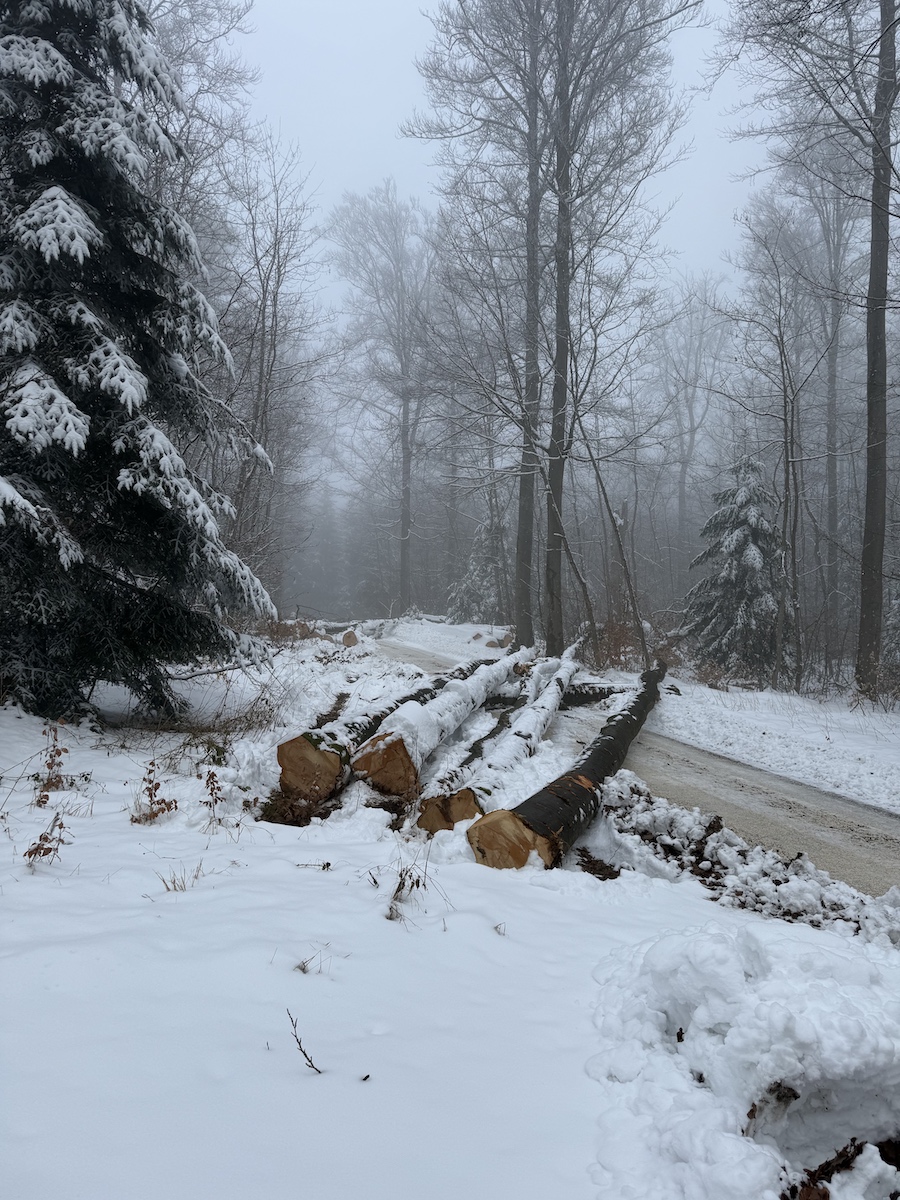 Ein Lauf durch den Schnee…